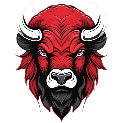 BISON PROTOCOL